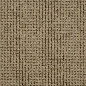 glistening pattern carpet