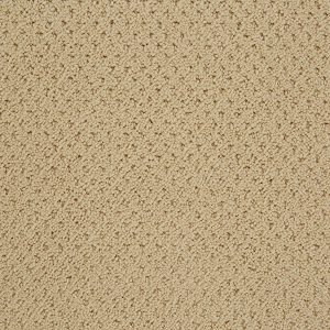 indulge pattern carpet